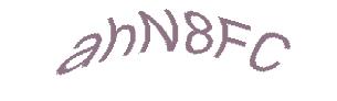 عبارت امنیتی