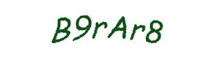 عبارت امنیتی