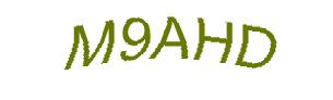عبارت امنیتی