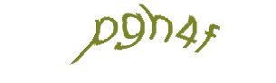 عبارت امنیتی