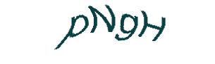 عبارت امنیتی
