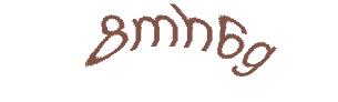 عبارت امنیتی