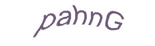عبارت امنیتی