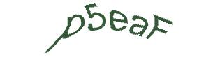عبارت امنیتی