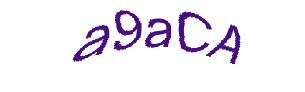 عبارت امنیتی