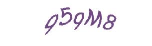 عبارت امنیتی