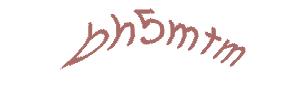 عبارت امنیتی