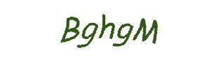 عبارت امنیتی