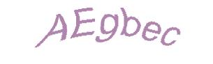 عبارت امنیتی