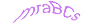 عبارت امنیتی