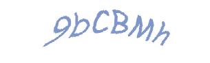 عبارت امنیتی