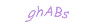 عبارت امنیتی