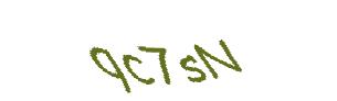 عبارت امنیتی