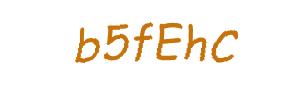 عبارت امنیتی