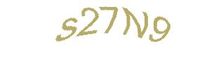 عبارت امنیتی
