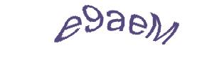 عبارت امنیتی
