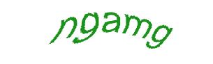 عبارت امنیتی