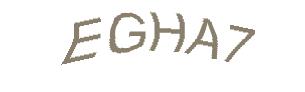 عبارت امنیتی