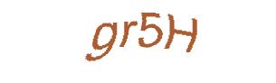 عبارت امنیتی