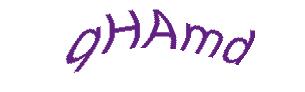 عبارت امنیتی