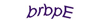 عبارت امنیتی