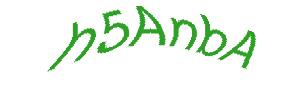 عبارت امنیتی
