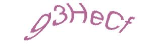 عبارت امنیتی
