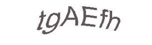 عبارت امنیتی