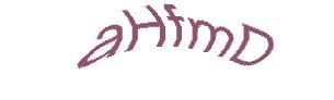 عبارت امنیتی