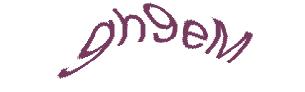 عبارت امنیتی