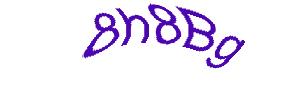 عبارت امنیتی