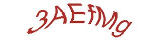 عبارت امنیتی