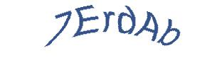 عبارت امنیتی