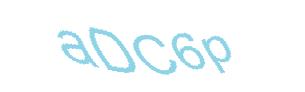 عبارت امنیتی