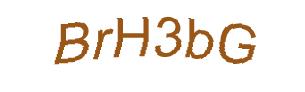 عبارت امنیتی