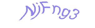 عبارت امنیتی