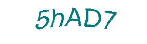 عبارت امنیتی