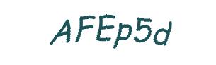 عبارت امنیتی