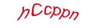 عبارت امنیتی