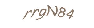 عبارت امنیتی