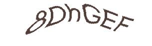 عبارت امنیتی