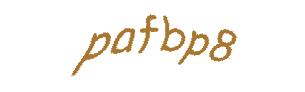 عبارت امنیتی