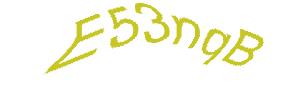 عبارت امنیتی