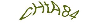 عبارت امنیتی