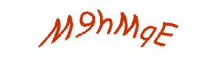 عبارت امنیتی