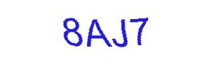 عبارت امنیتی