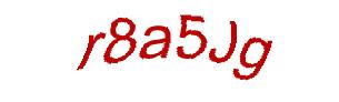 عبارت امنیتی