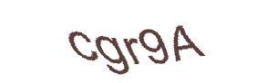 عبارت امنیتی