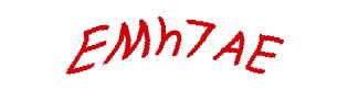 عبارت امنیتی