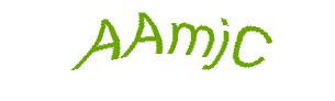 عبارت امنیتی
